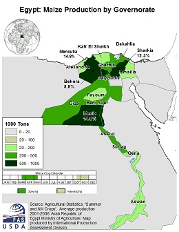 images\EG\cropprod\Egypt_Corn_preview.jpg